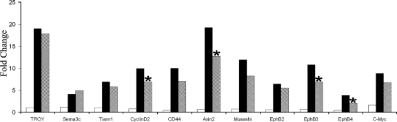 FIG. 2.