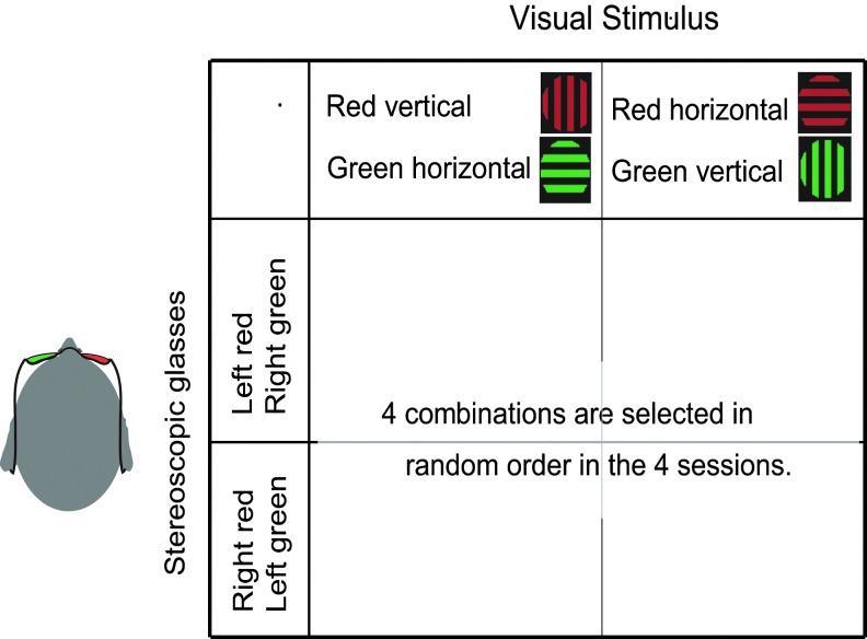 FIG. 3.