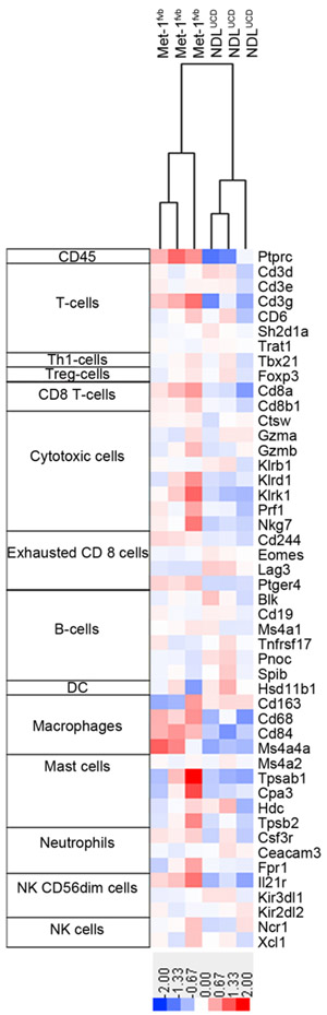 Figure 6: