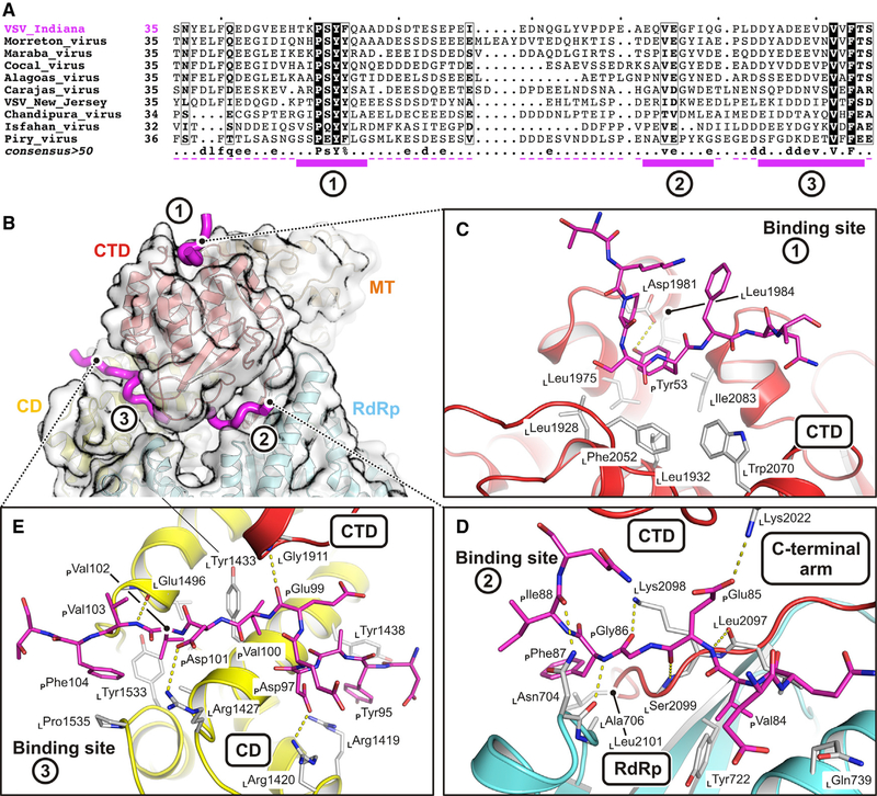 Figure 2.