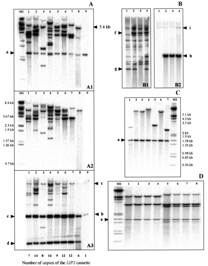 FIG. 3