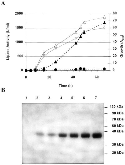 FIG. 4