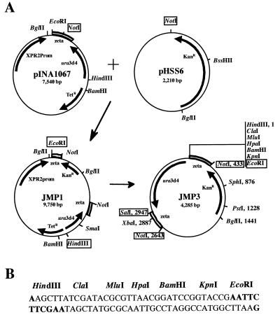 FIG. 1