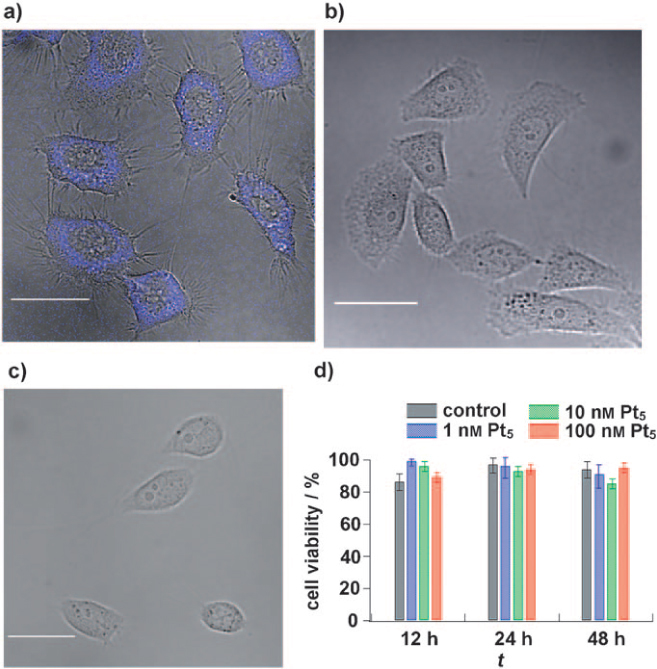 Figure 16