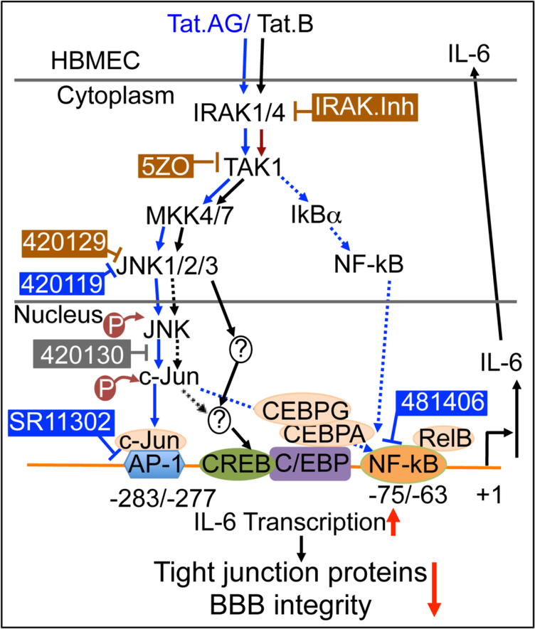 Fig. 6: