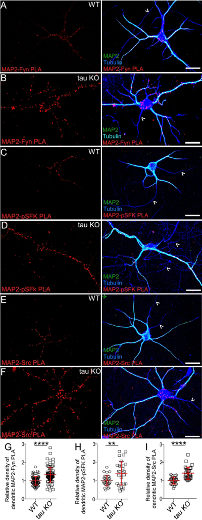 Fig. 8: