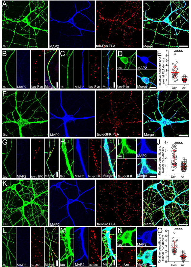 Fig. 4: