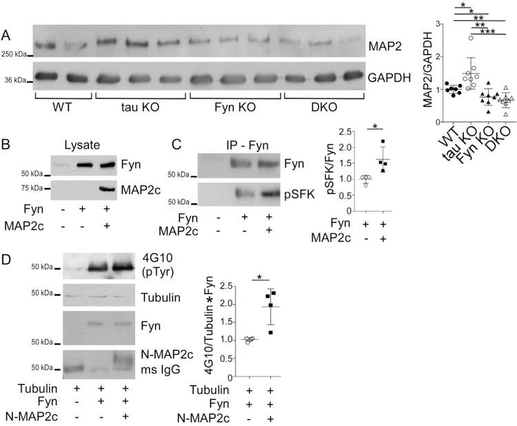 Fig. 7: