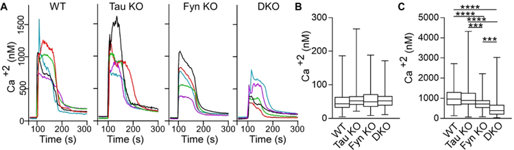 Fig. 6: