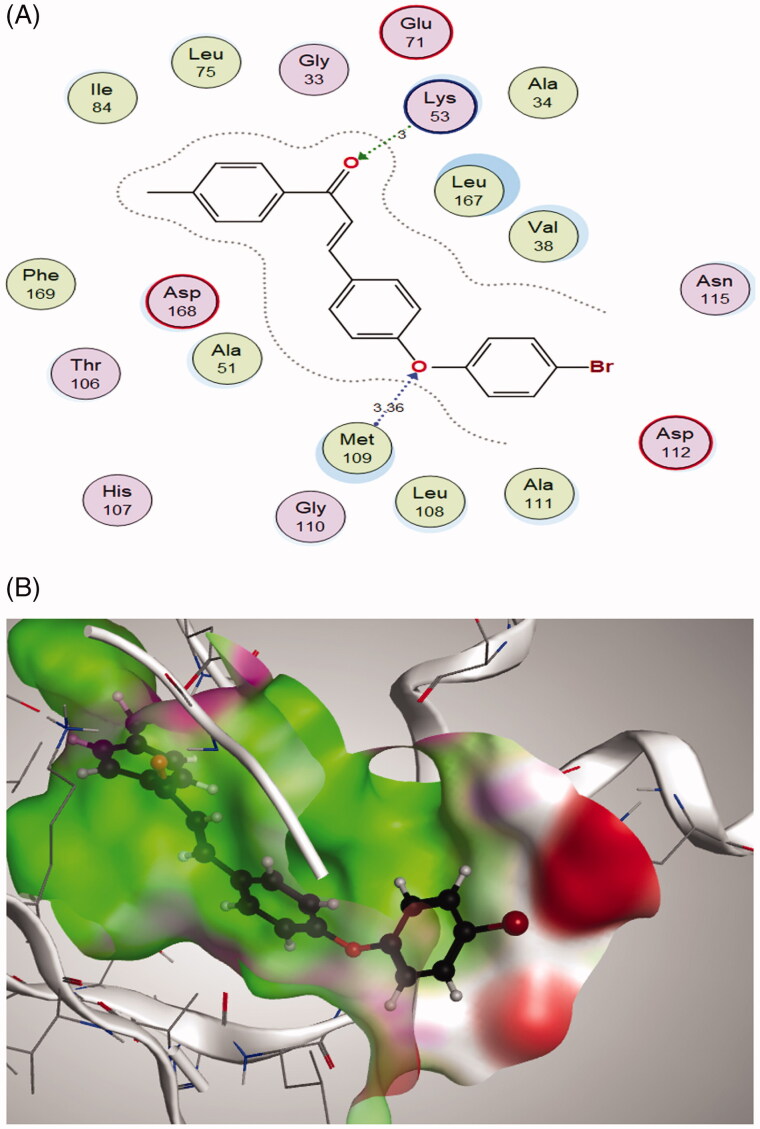 Figure 11.