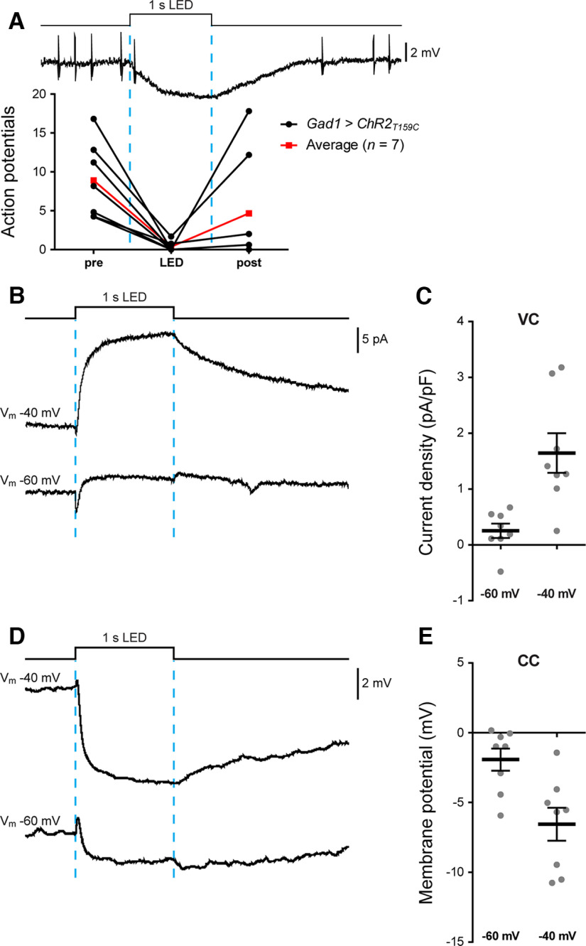 Figure 5.