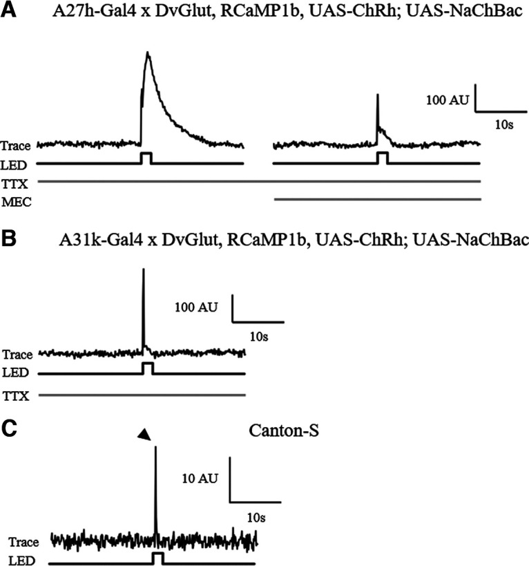 Figure 9.