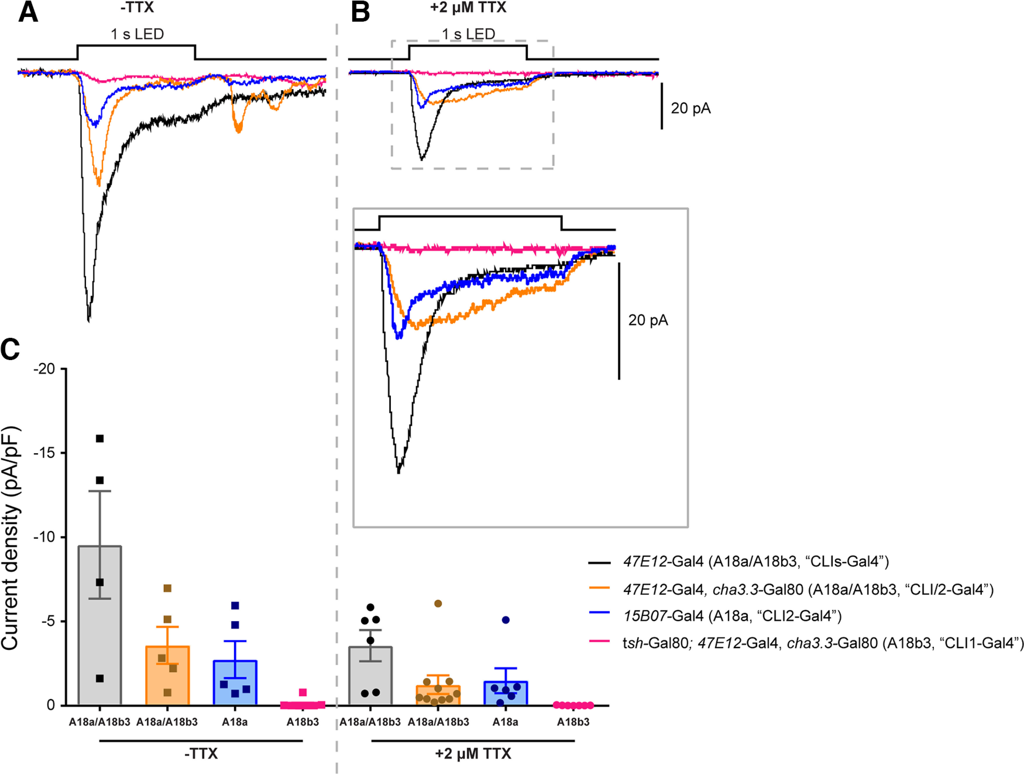 Figure 4.