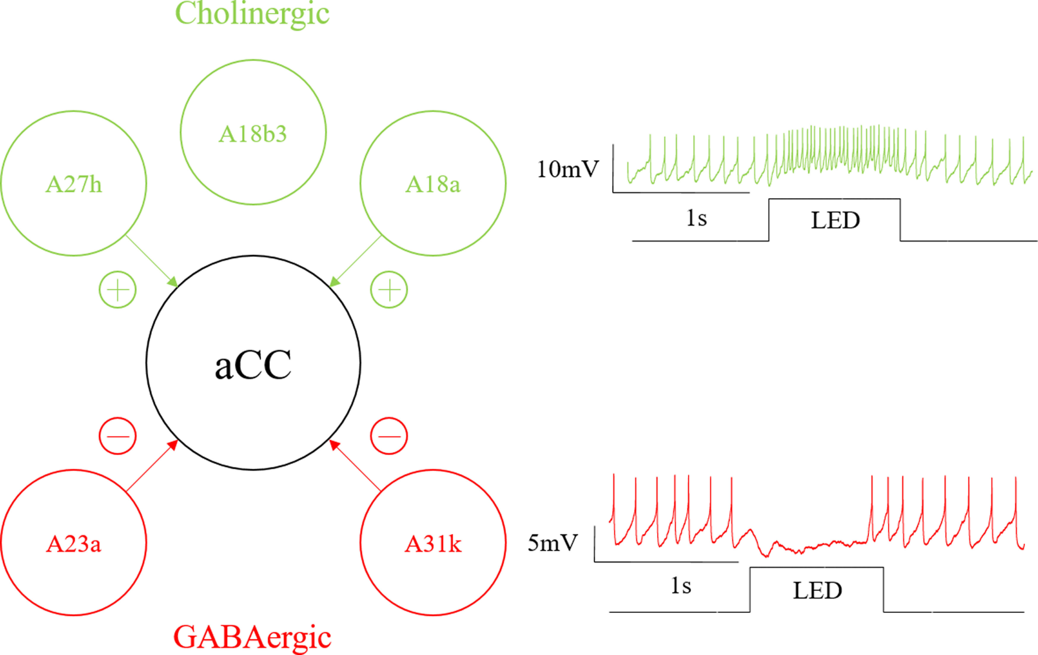 Figure 10.