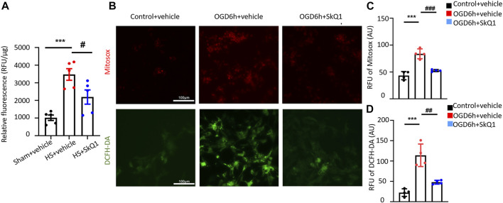 FIGURE 3