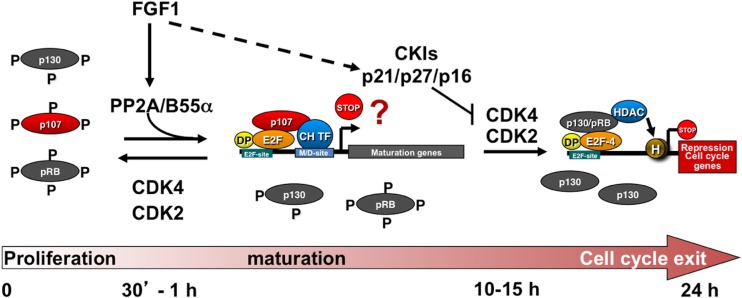 Fig 8