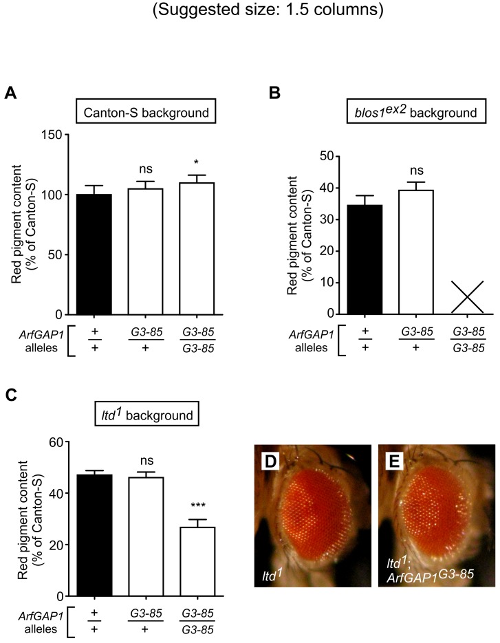 Fig 8