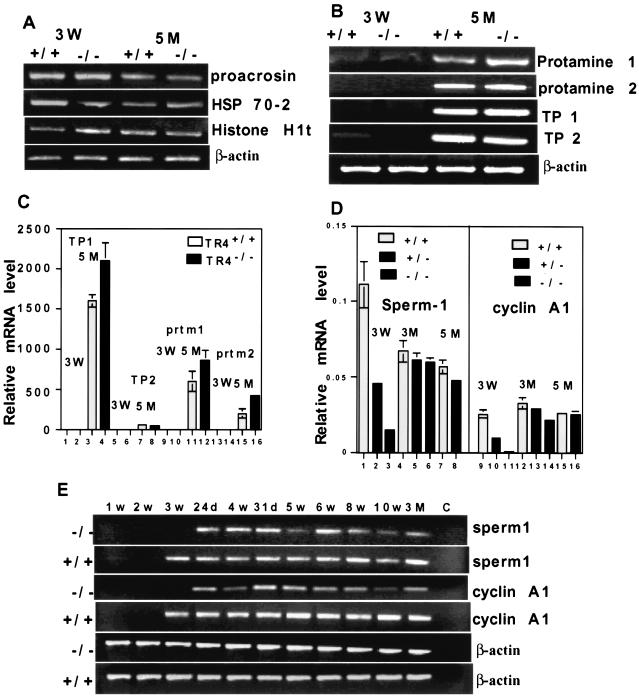 FIG. 9.