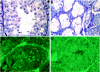 FIG. 8.