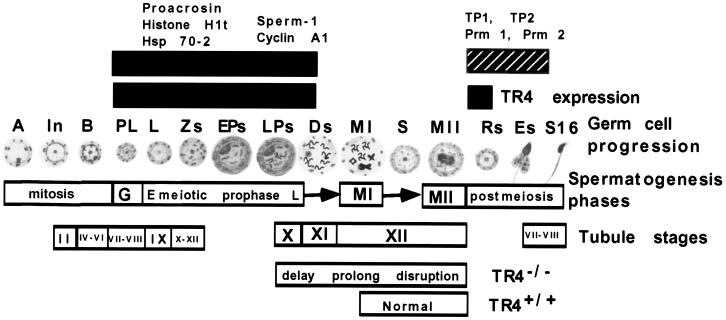 FIG. 10.