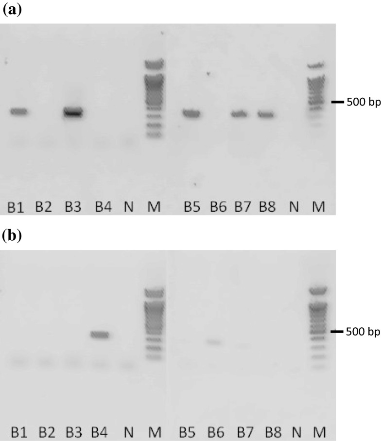 Fig. 5