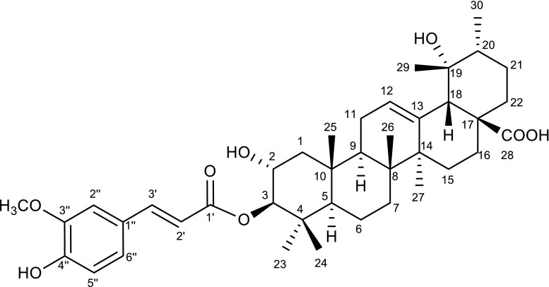 Fig. 12