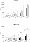 Fig 10
