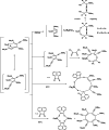 Scheme 4