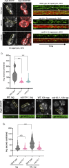 FIGURE 7: