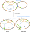 FIGURE 9: