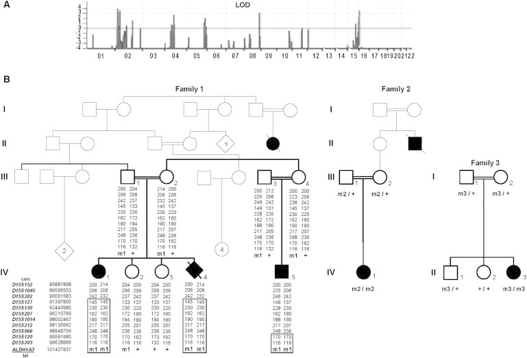 Figure 1