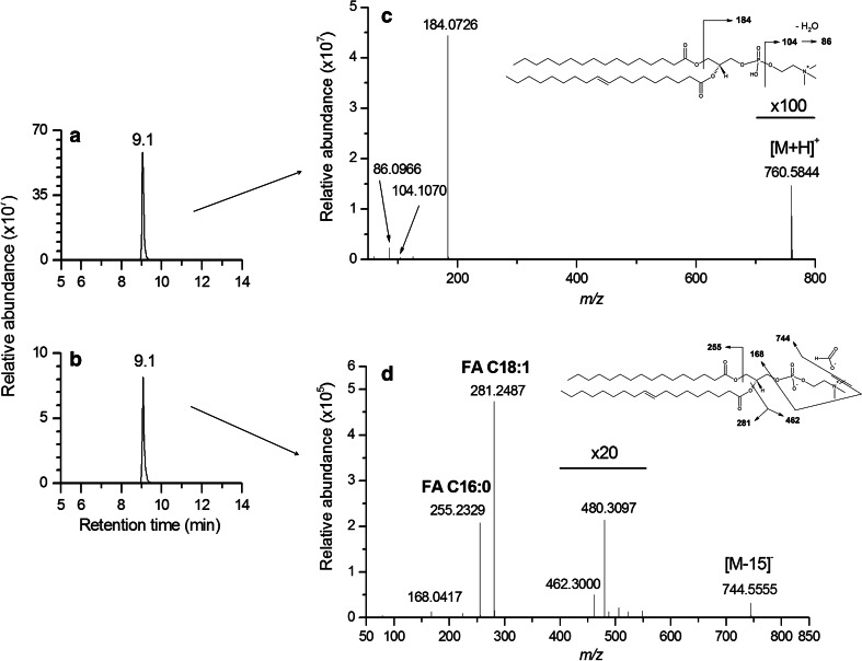 Fig. 4