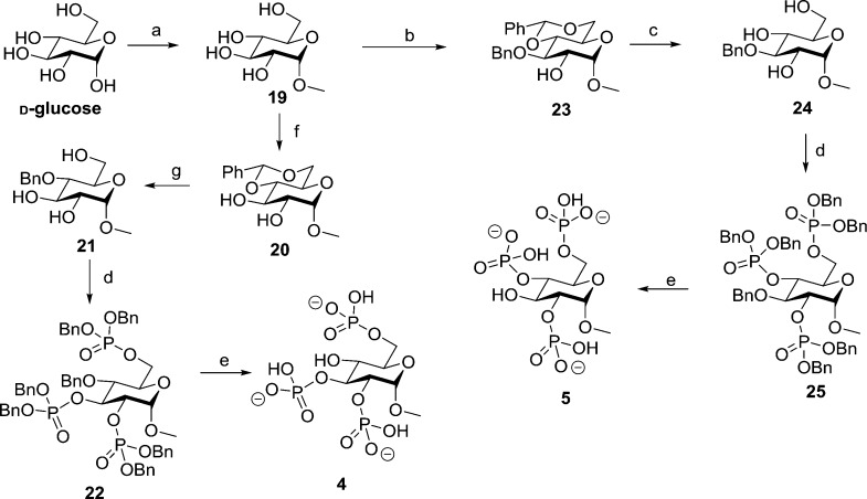 Scheme 3