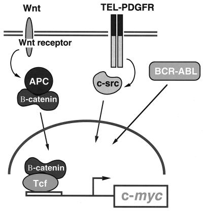 FIG. 1