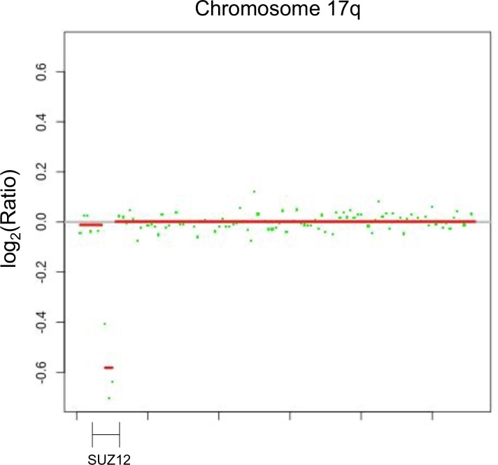 Figure 2—figure supplement 1.