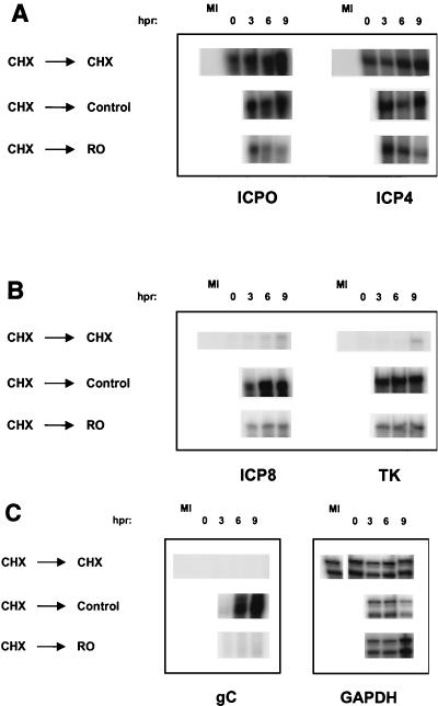 FIG. 7