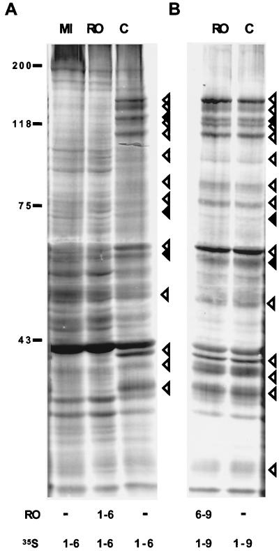 FIG. 5