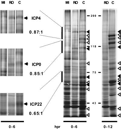 FIG. 9