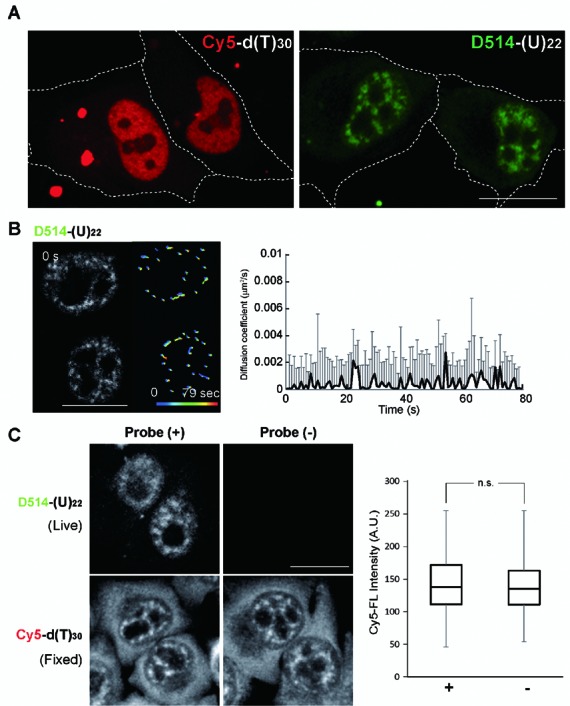 Figure 2.