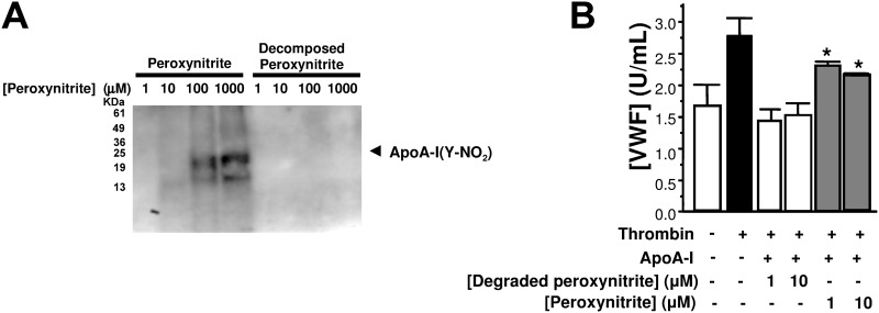 Fig 10