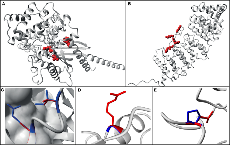 Figure 3