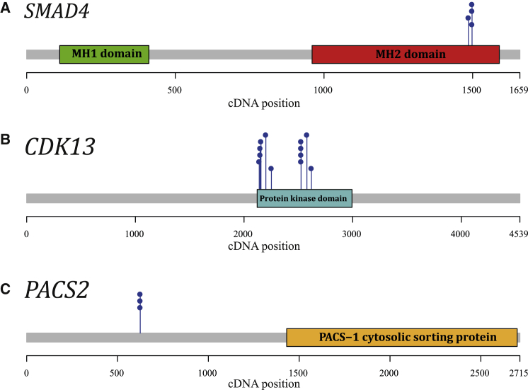 Figure 1