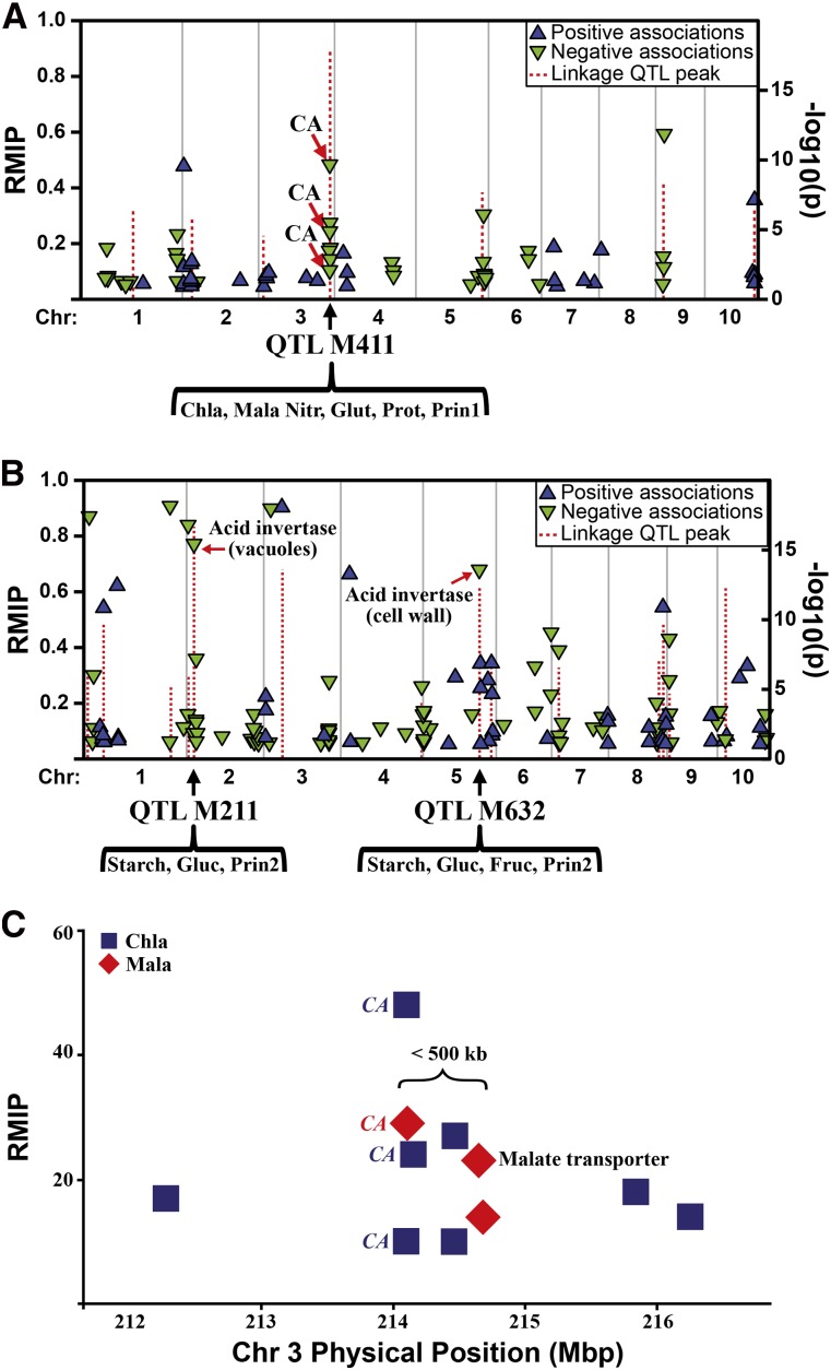 Figure 3.