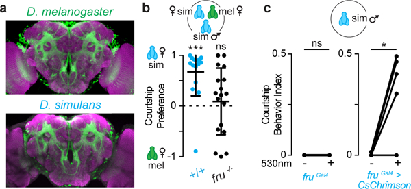 Figure 2: