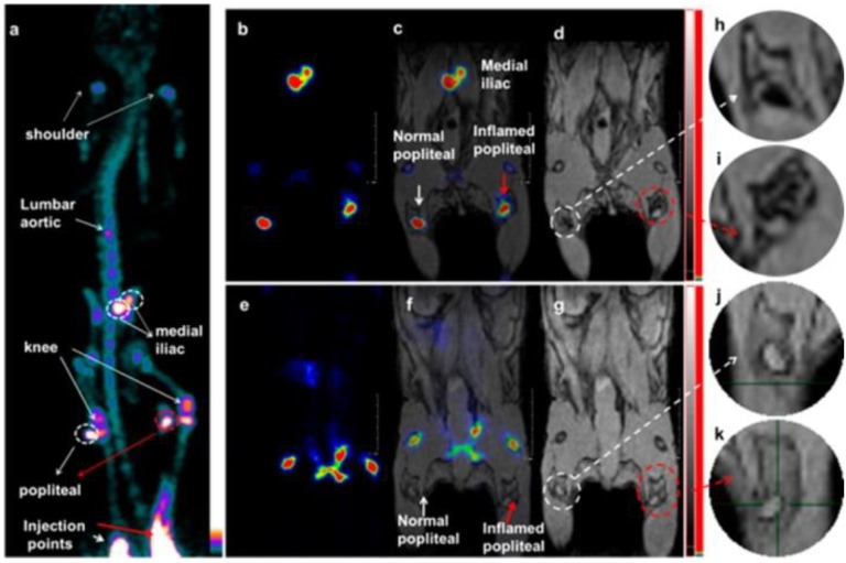 Figure 21