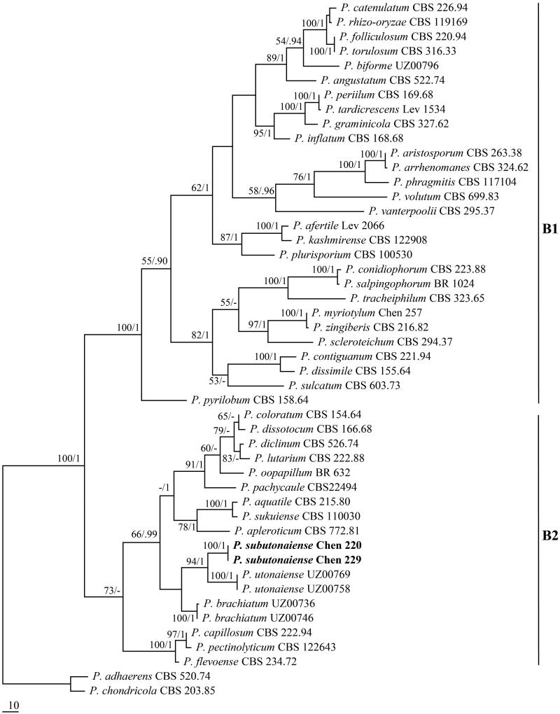 Figure 2.