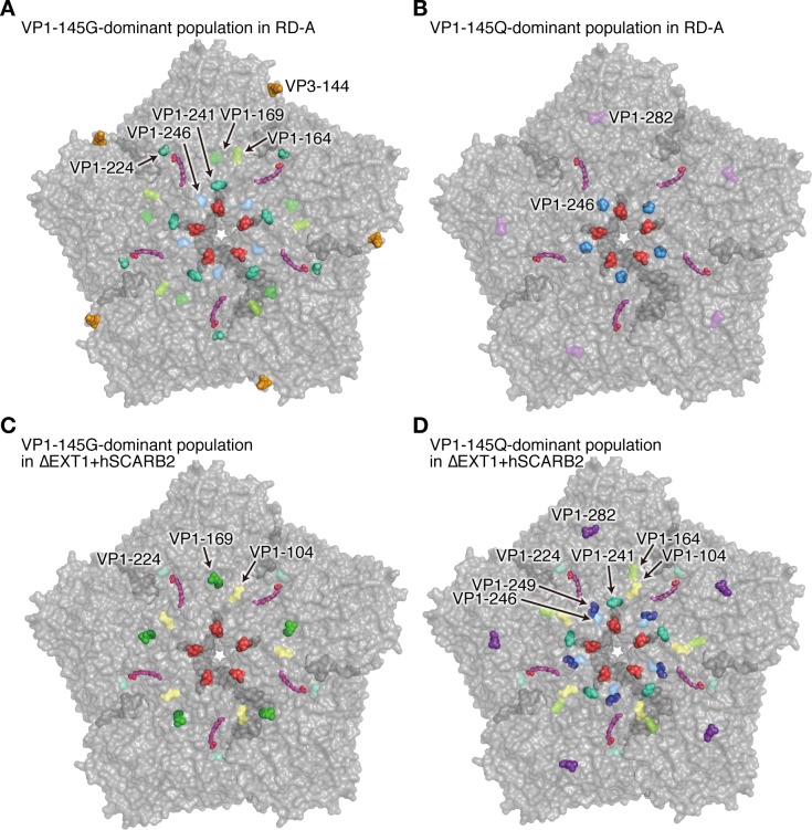 Fig 6