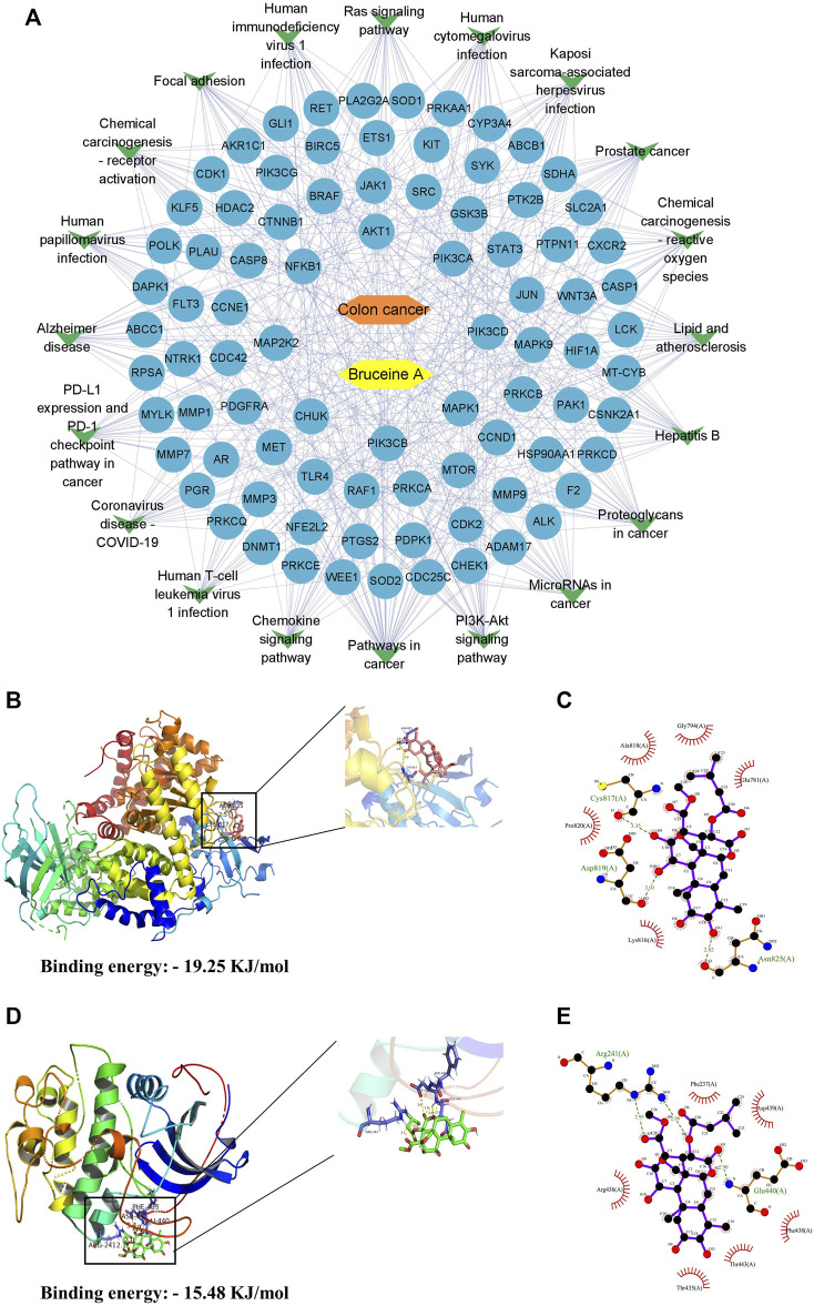 FIGURE 2