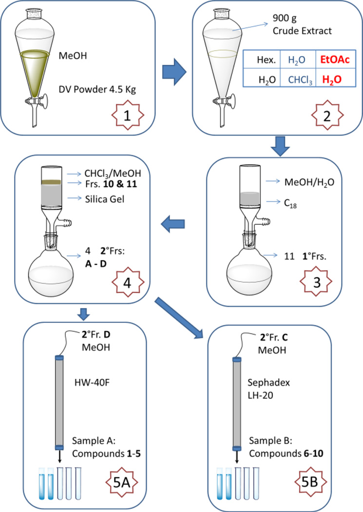 Scheme 1