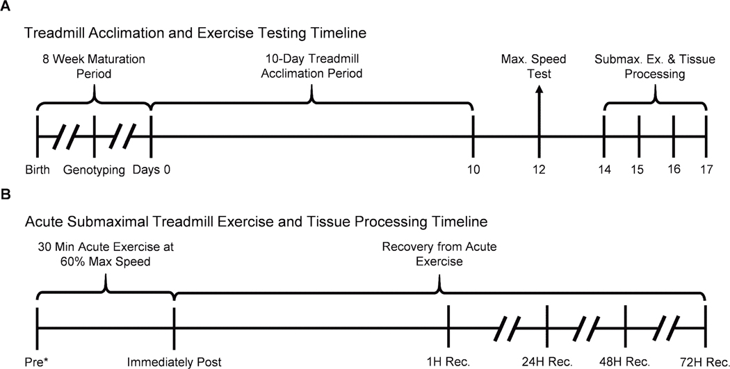 FIGURE 2–